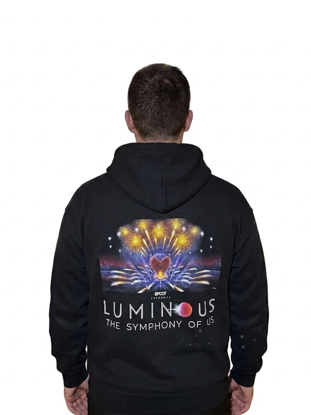 Luminous The Symphony Of Us Black Graphic Hoodie Men’s XL